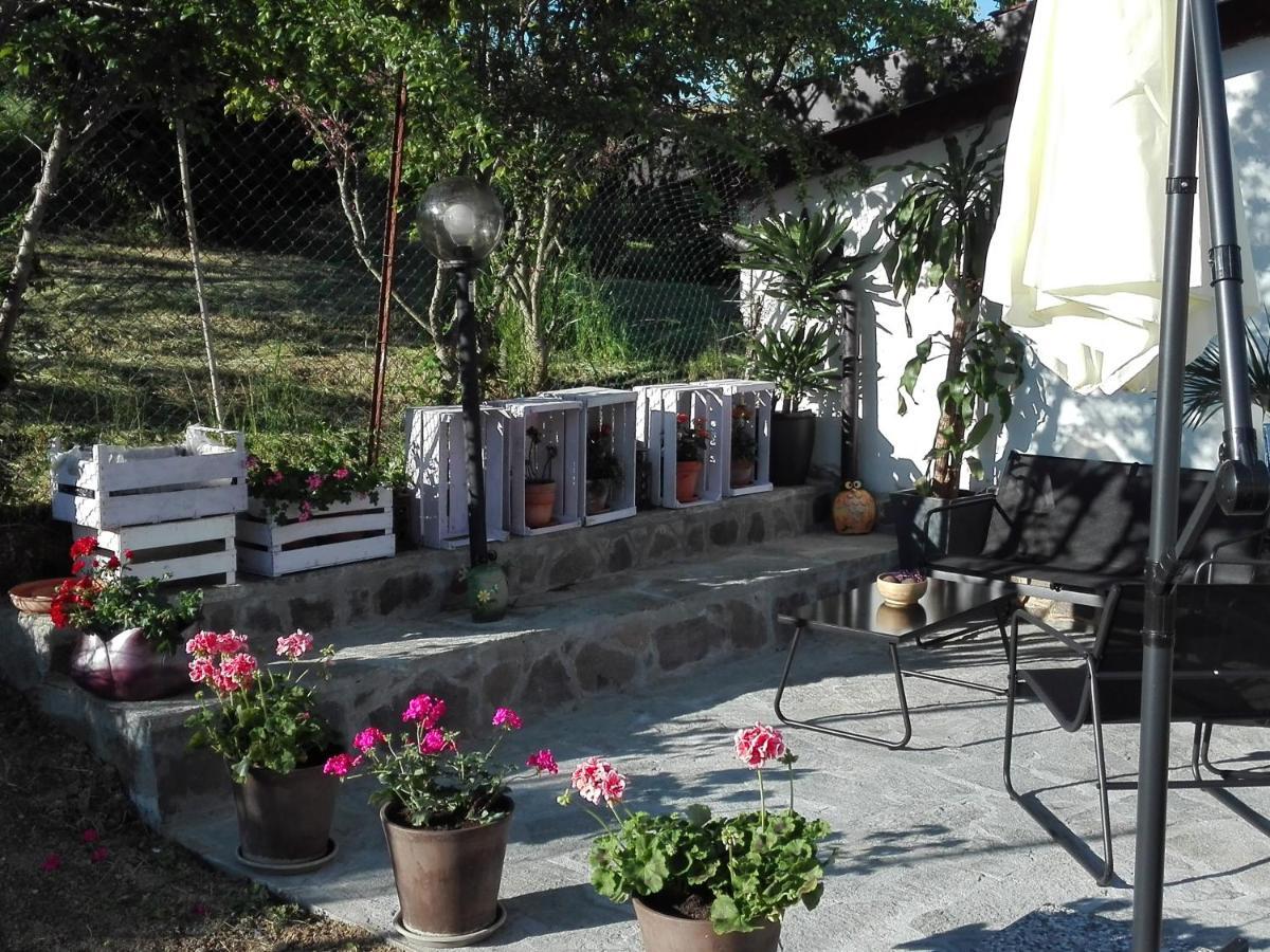 La Casa Nel Sole Daire İskenderiye Dış mekan fotoğraf